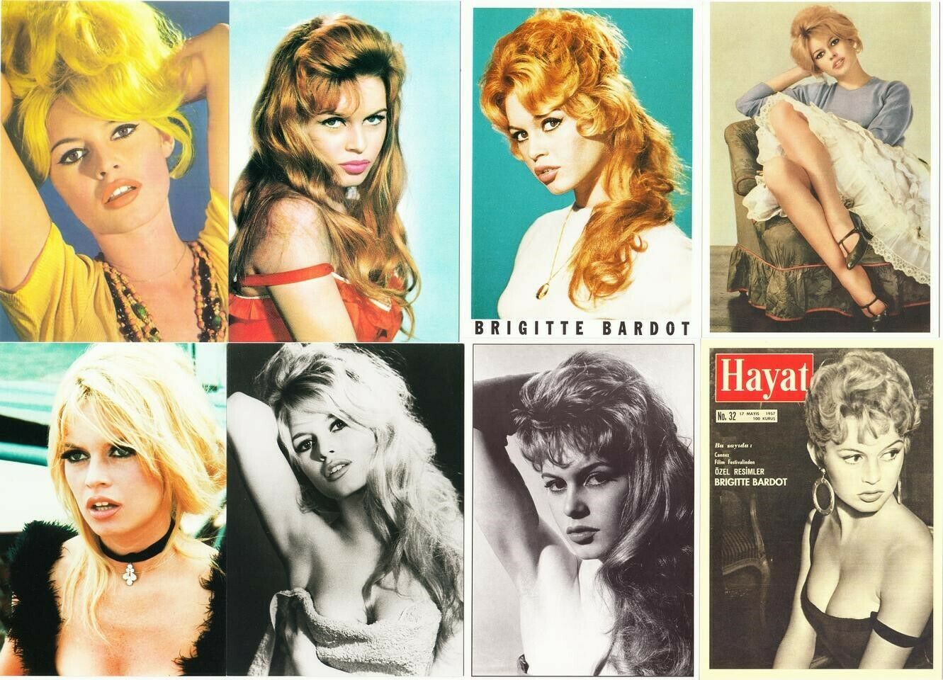 Brigitte Bardot, ícono del cine francés, murió a los 91 años