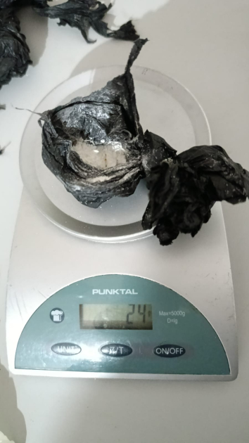 Efectivos del PADO durante un procedimiento en Maldonado Nuevo (foto provista por Jefatura de Policía de Maldonado).