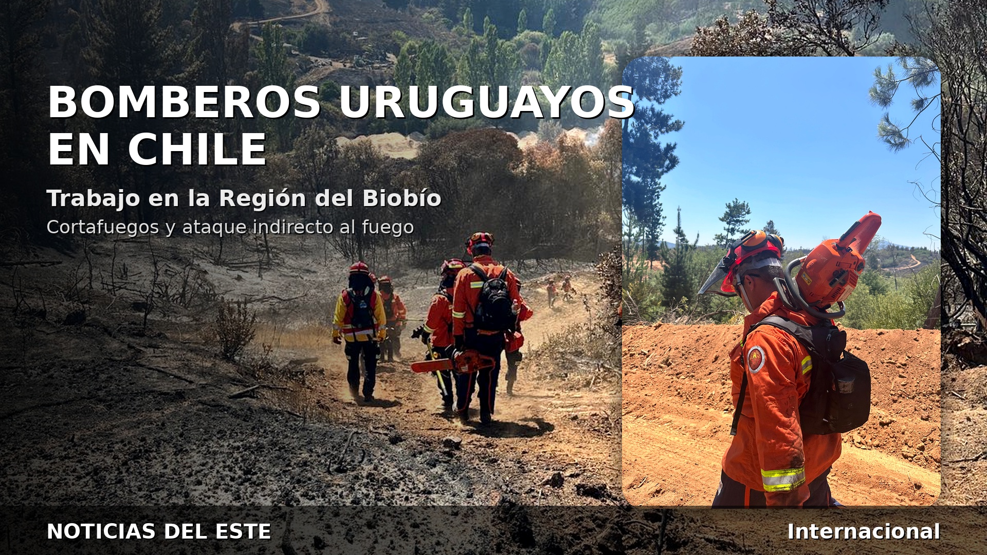 Bomberos uruguayos trabajan en Chile en tareas de cortafuegos en la Región del Biobío.