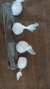 Condenado en San Carlos por suministro de cocaína tras operativo