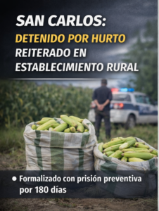San Carlos: detuvieron a un hombre por hurto reiterado en un establecimiento rural