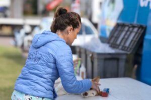 Bienestar animal: próximas castraciones serán en La Capuera, San Carlos, Maldonado Nuevo y Cerro Pelado