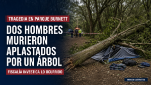 Tragedia en Parque Burnett: dos hombres murieron aplastados por un árbol