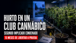 Segundo condenado por hurtar plantas de cannabis de un club ubicado sobre Ruta 39